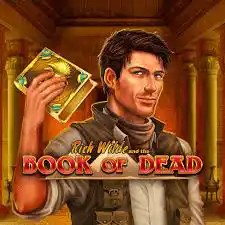Book of Dead slot visual from Play'n GO available on le-bull-casino.pt
